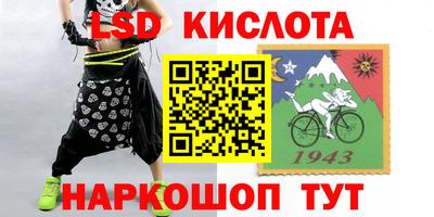 СК Шелехов