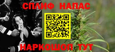 СК Шелехов