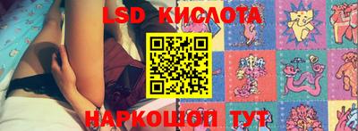 гидропоника Шебекино