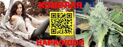 СК Шелехов