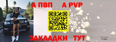 СК Шелехов