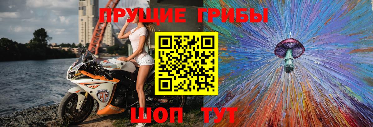 Улан-Удэ  Галлюциногенные грибы мицелий  Вход с VPN 