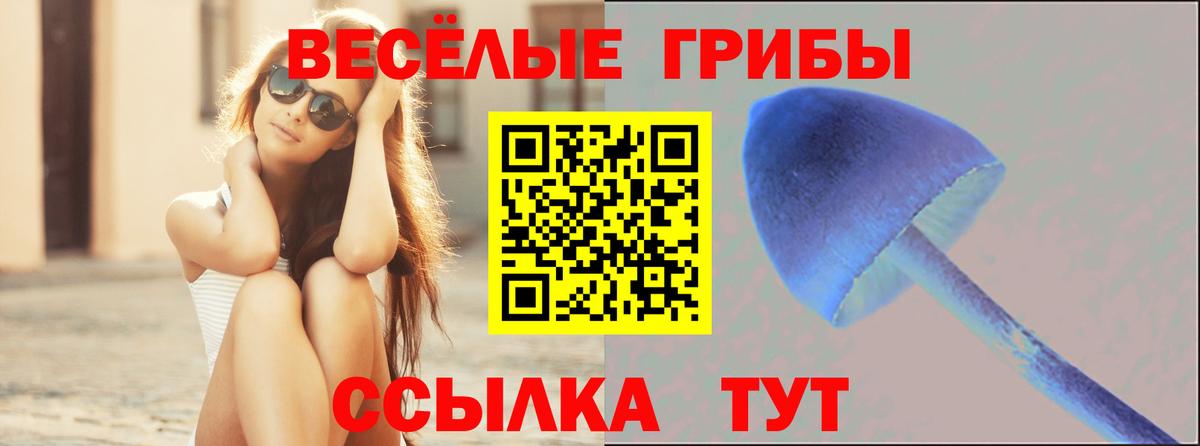 Псилоцибиновые грибы MAGIC MUSHROOMS Улан-Удэ
